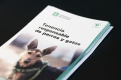 Jornada de concientización, adopción y castración en el Espacio Colabora Jornada de concientización, adopción y castración en el Espacio Colabora