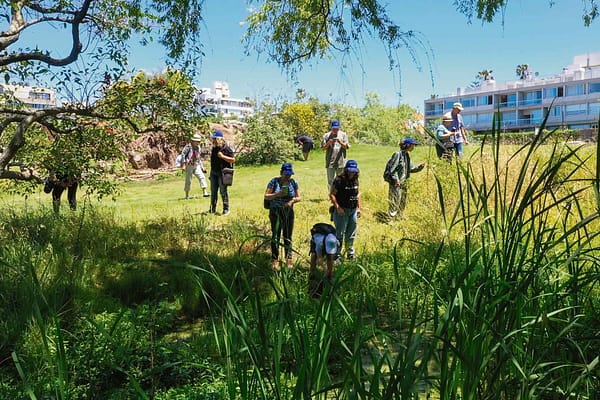Montevideo se sumó a la Gran Biobúsqueda del Sur
