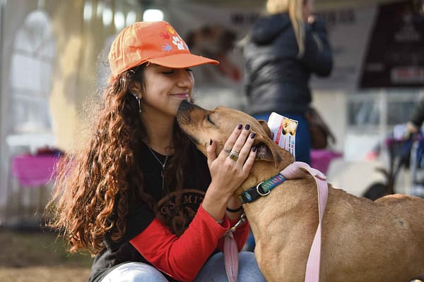 Intervenciones asistidas por perros y bienestar animal
