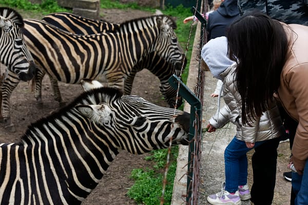 Cinco opciones divertidas para esta semana