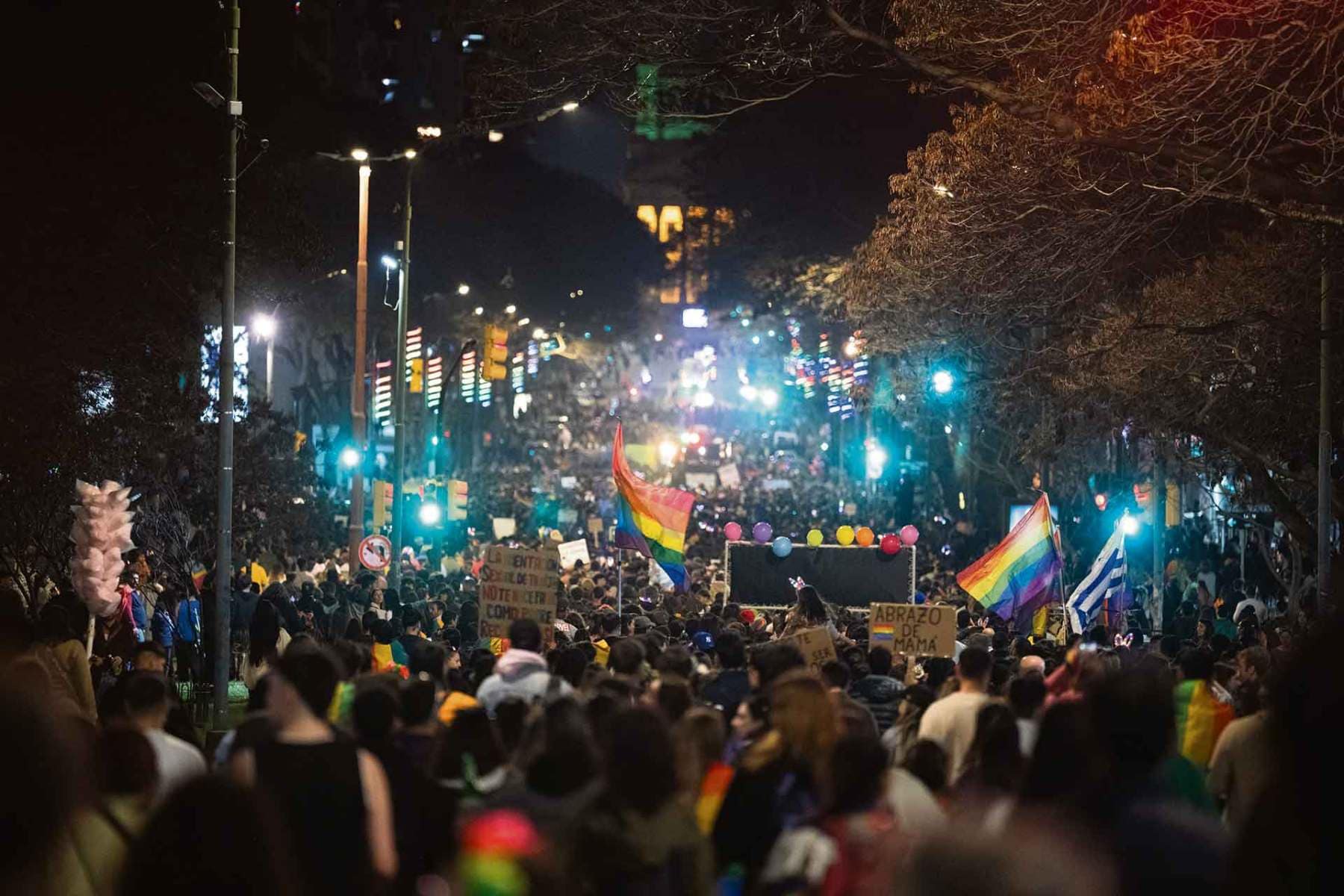 Marcha por la diversidad 2024 Marcha por la diversidad 2024